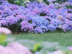 -杭州植物园