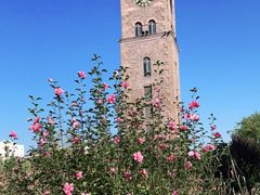 -同济大学(嘉定校区)