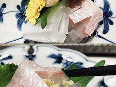 鲷鱼-鮨鳳