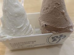-野人先生Gelato(上海长宁龙之梦店)