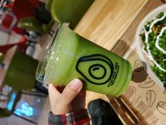 -油梨树AVOCADO TREE(嘉里中心店)