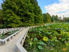 -白塘生态植物园