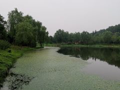 -东郊湿地公园