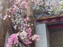 -深圳国际园林花卉博览园