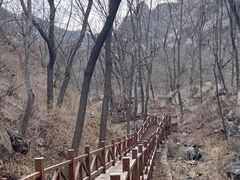 -大岭沟猕猴桃谷风景区