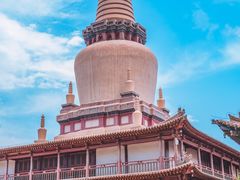 -张掖大佛寺景区