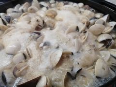 -顺德哥卜卜贝(旗舰店)