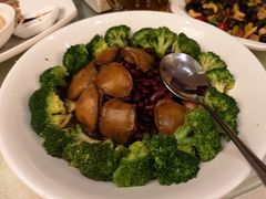 -龙悦湾酒家·八阵鱼生·渔人码头店