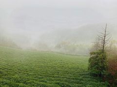 -敬亭山风景名胜区