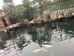 -湖鲜楼