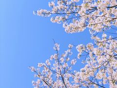 -新天地活力PARK