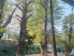 -华雅花园大酒店