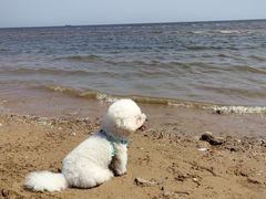 -东戴河风景区-止锚湾