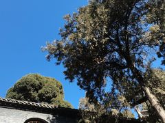 -洛阳白马寺