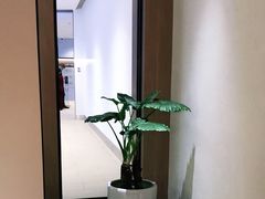 -常乐·对症推拿(嘉里中心第132分店)
