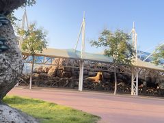 -华夏文旅海洋公园