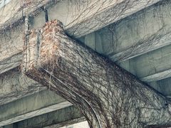 -华润·二十四城