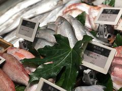 -高佳庄·舟山海鲜(海景旗舰店)