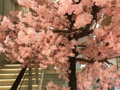 -汤里来温泉