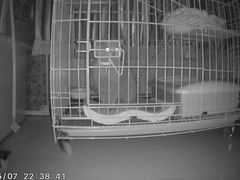 -喜多萌中农锦绣动物医院24H·猫科·牙科MRI·CT