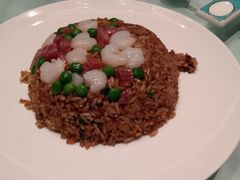 -圆苑(静安寺店)