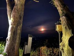 -长沙黑麋峰国家森林公园