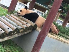 -杭州野生动物世界