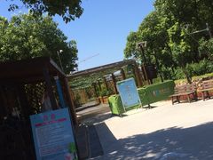 -田园东方蜜桃村的田野营地