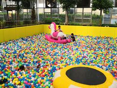 -南宫五洲植物乐园