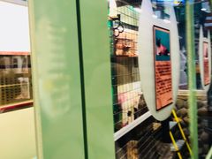 -猫咪博物馆(顶澳仔猫街店)