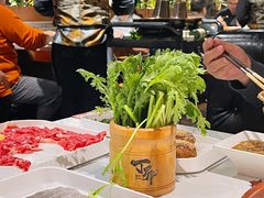 -丁卯•铜锅涮肉(工体店)