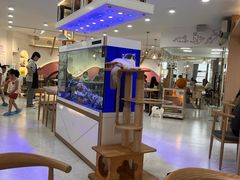 -喵园·猫主题咖啡厅·撸猫·猫咖(国贸店)
