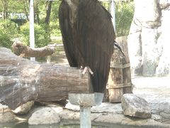 -沈阳鸟岛