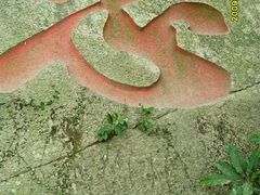 android_upload_pic-草庵摩尼教遗址公园