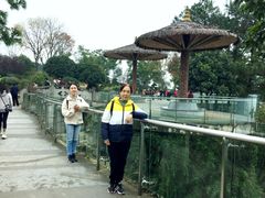 -铁山坪森林公园