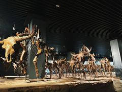 -大庆市博物馆