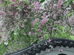 -深圳国际园林花卉博览园