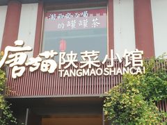 -唐猫庭院·千年陕菜(大唐不夜城店)