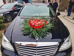 -蚂蚁婚车