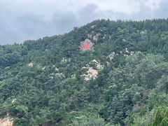 -龙口南山旅游景区