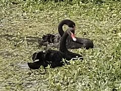 -昆山城市生态森林公园