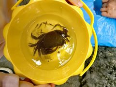 -华蓥山天意谷景区