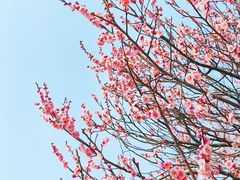 -上海辰山植物园