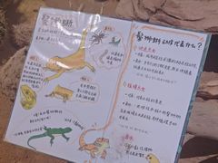 -正佳雨林生态植物园