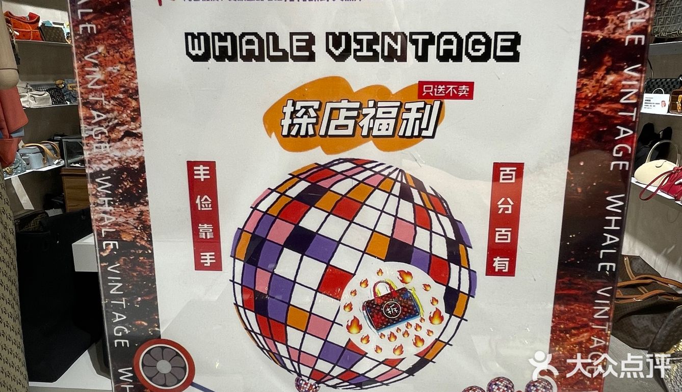 成都探店｜鲸鱼🐳中古