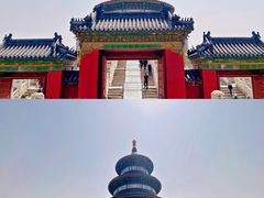 -天坛公园