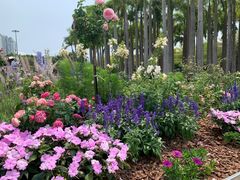 -深圳国际园林花卉博览园