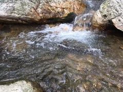 -大连天门山国家森林公园