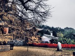 -终南山南五台景区