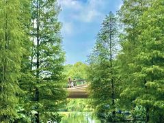 -云溪植物园